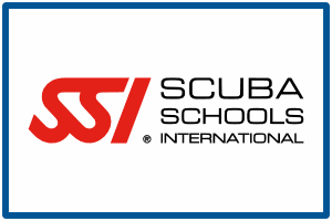 aquademi dalis merkezi okulu mersin ssi dalis kursu egitimi