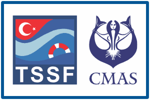 aquademi dalis merkezi okulu mersin tssf cmas dalis kursu egitimi