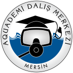 aquademi logo e1749825720684