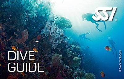 Dive Guide Divemaster