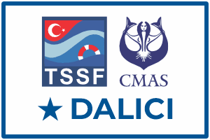 aquademi dalis merkezi okulu mersin 1 yildiz dalici kursu