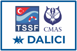 aquademi dalis merkezi okulu mersin 2 yildiz dalici kursu