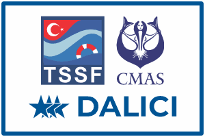 aquademi dalis merkezi okulu mersin 3 yildiz dalici kursu