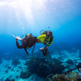 aquademi dalis merkezi okulu mersin anasayfa gorsel 10