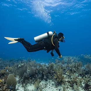 aquademi dalis merkezi okulu mersin anasayfa gorsel 11