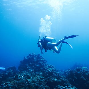 aquademi dalis merkezi okulu mersin anasayfa gorsel 12