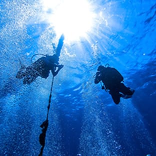 aquademi dalis merkezi okulu mersin anasayfa gorsel 4