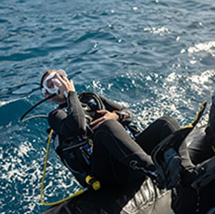 aquademi dalis merkezi okulu mersin anasayfa gorsel 6