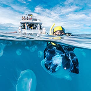 aquademi dalis merkezi okulu mersin anasayfa gorsel 7