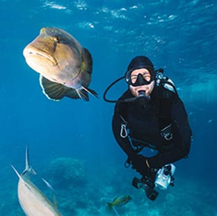 aquademi dalis merkezi okulu mersin anasayfa gorsel 8