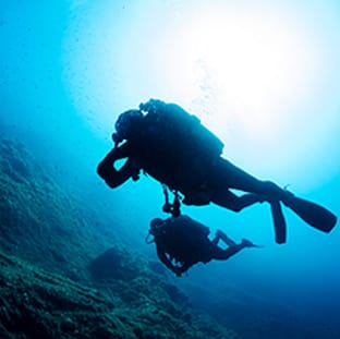 aquademi dalis merkezi okulu mersin anasayfa gorsel 9