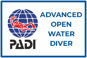 aquademi dalis merkezi okulu mersin padi advanced open water diver dalici kursu