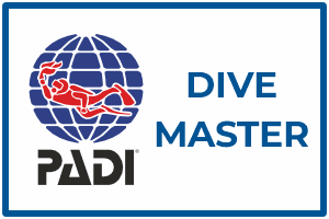 aquademi dalis merkezi okulu mersin padi divemaster dalici kursu