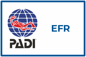 aquademi dalis merkezi okulu mersin padi efr diver dalici kursu