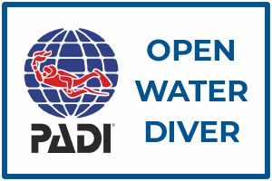 aquademi dalis merkezi okulu mersin padi open water diver dalici kursu