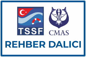 aquademi dalis merkezi okulu mersin rehber dalici kursu