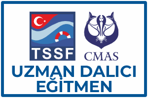 aquademi dalis merkezi okulu mersin uzman dalici egitmen kursu