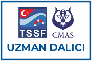 aquademi dalis merkezi okulu mersin uzman dalici kursu